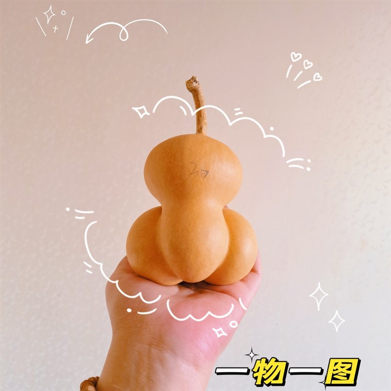 一物一图天然精品文玩勒扎异形小金蟾工艺礼品摆饰手把件老葫芦摆