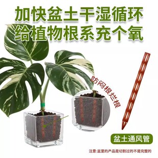 【下单立减50】植物根系透气筒盆土通风管加快干湿循环给植物根系