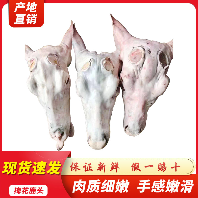 吉林梅花鹿吉林头花鲜鹿肉马鹿头花鹿头新鲜鹿头 鲜鹿肉