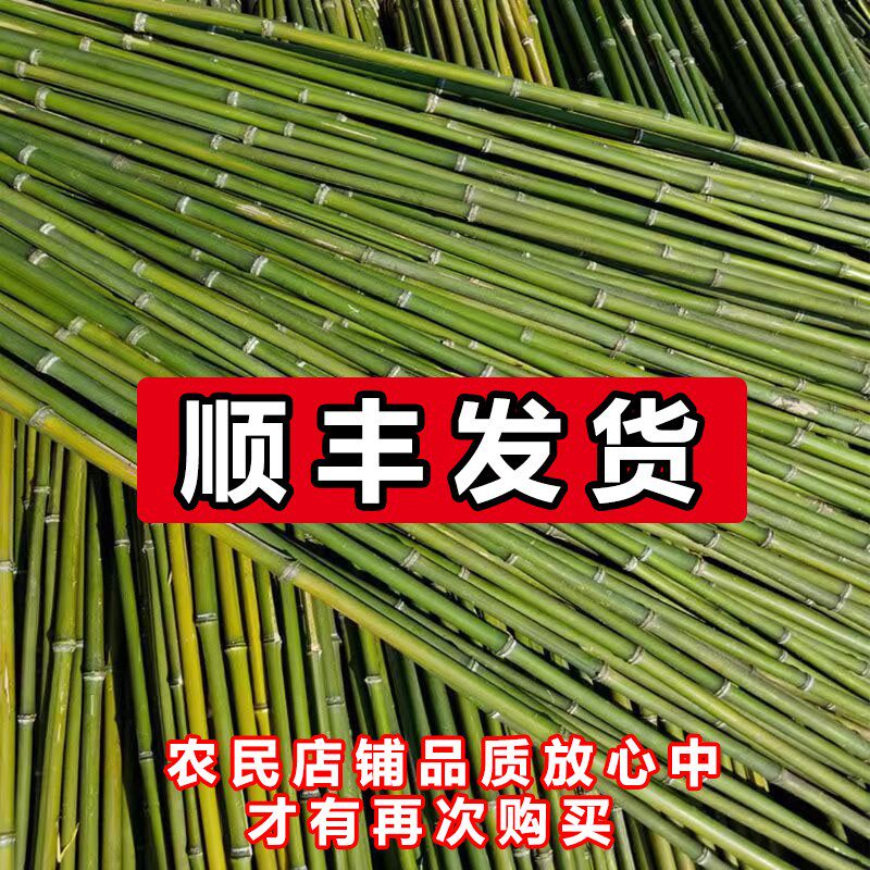 菜架竹竿竹细竹菜园搭架壁厚耐用豆角黄瓜爬藤架旗杆