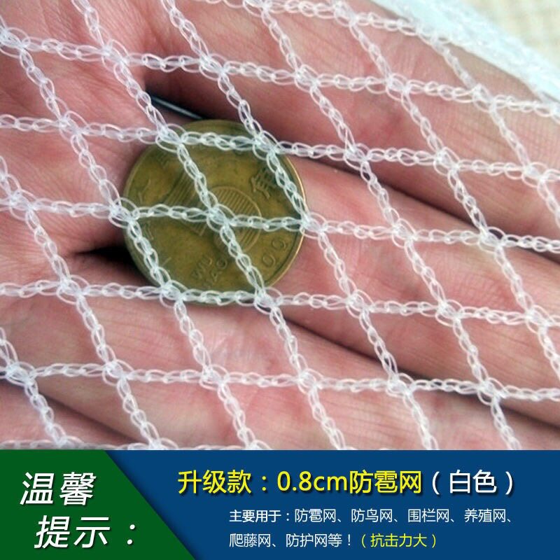养鸡网冰雹网鸟网家禽养殖网庭院果树樱桃鸟网核桃网