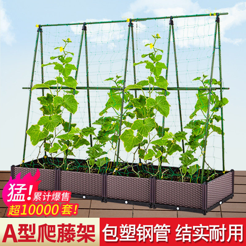 园艺支架包钢管豆角黄瓜爬藤支撑杆架庭院植物番茄固定爬藤架