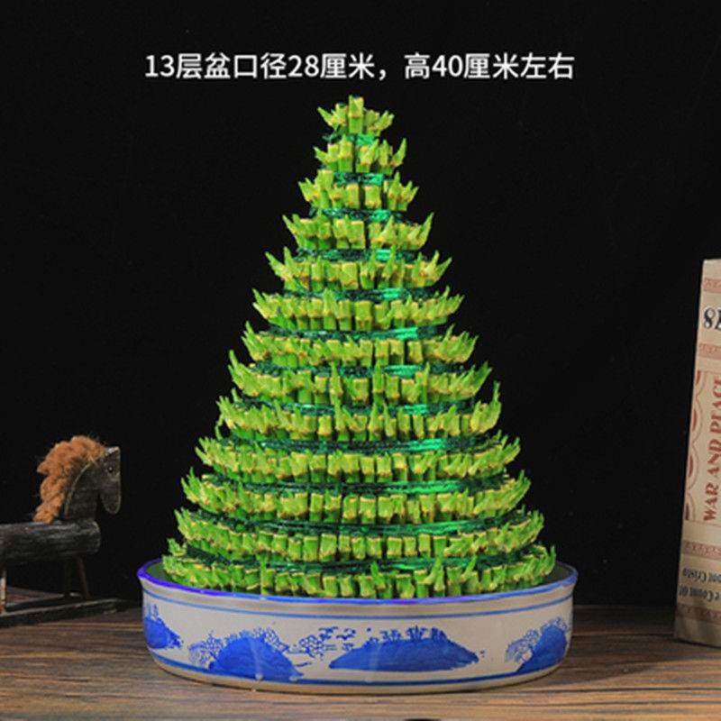 竹塔富贵竹盆栽节节高室内水培竹子水养植物步步高运竹【