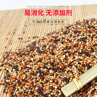 鹦鹉饲料鸟粮文鸟鸟粮虎皮玄凤专用鸟食五色黍子带壳谷子鸟粮混合