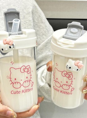 ins高颜值可爱简约吸管水杯女生2024新款便携学生塑料杯子