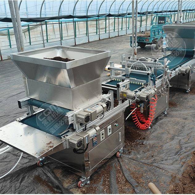 全自动穴盘育苗播种机电动蔬菜花卉烟草辣椒种子育苗盘播种机器