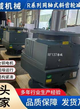 供应电动立式减速机RF107加药搅拌机污水不锈钢用RF97RF137搅拌器