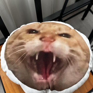 耄耋抱枕圆头馒头抱枕搞怪猫解压搞笑猫猫送朋友闺蜜家居创意玩偶