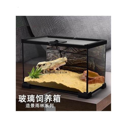 玻璃饲养箱爬虫缸雨林爬宠陆龟守宫蜥蜴角蛙甲虫宠物蛇生态造景缸
