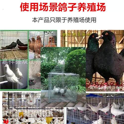 新款捕鸽神器家用自动天落鸟笼旋转笼翻板笼户外加粗鸽子养殖专用