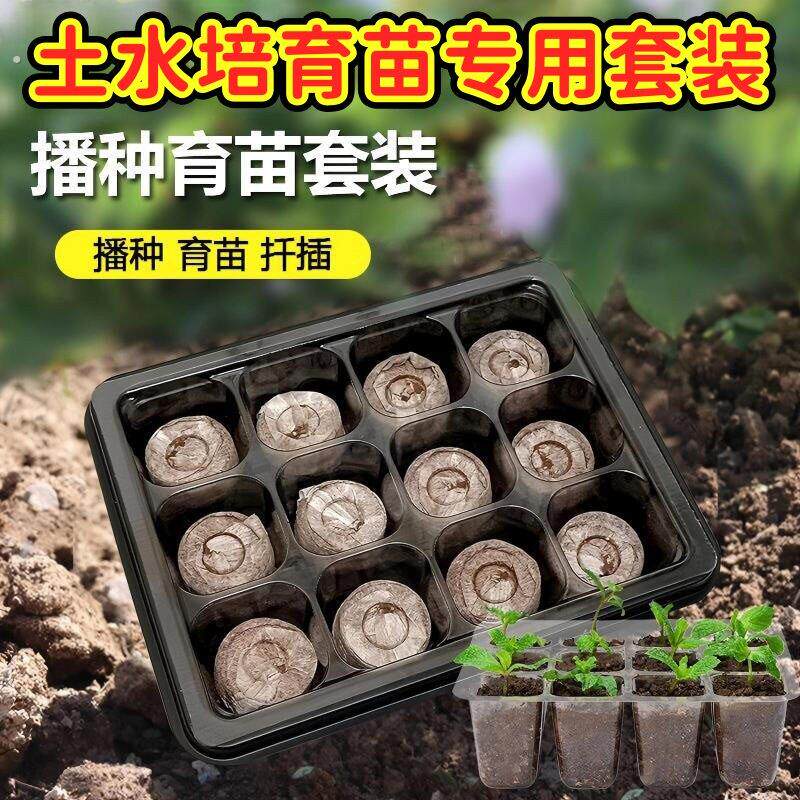 12孔育苗盒套装育苗块种植块家庭园艺新款保温盒土培水培育苗穴盘
