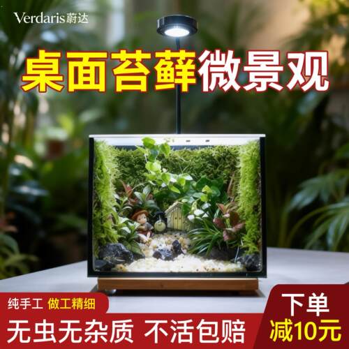 苔藓微景观生态瓶桌面绿植雨林玻璃缸造景室内小型好养植物摆件