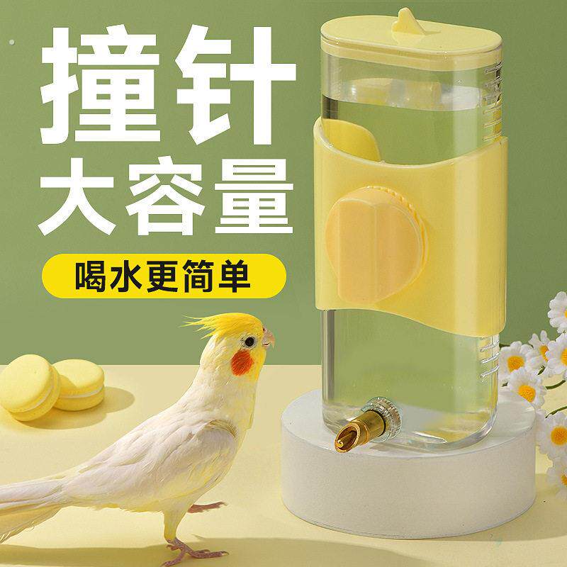 鸟用饮水器喝水鹦鹉喂水器撞针自动大号水壶玄凤龙猫喂鸟器用品具
