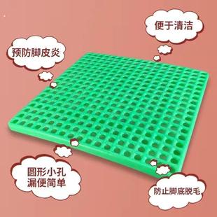 兔子脚垫防啃咬漏粪板荷兰猪龙猫豚鼠笼子垫子网格防卡脚笼子底垫