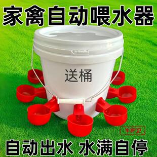 喂鸡食槽水槽一体喂鸡懒人神器出远门农村自动喂鸡家禽养殖小鸡鸭