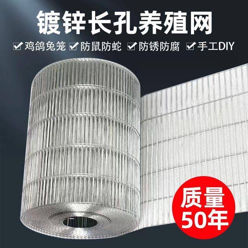 镀锌鸟笼网鹌鹑网铁丝网钢丝网养殖网养殖场养鸡铁丝钢丝养殖围网