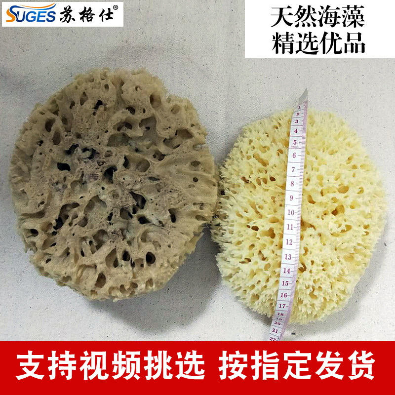 优选精选希腊天然海绵海藻棉幻彩漆三色珠光漆艺术涂料工具海藻绵