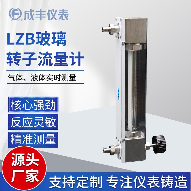 LZB-10F玻璃转子流量计面板式微小流量计不锈钢玻璃浮子流量计