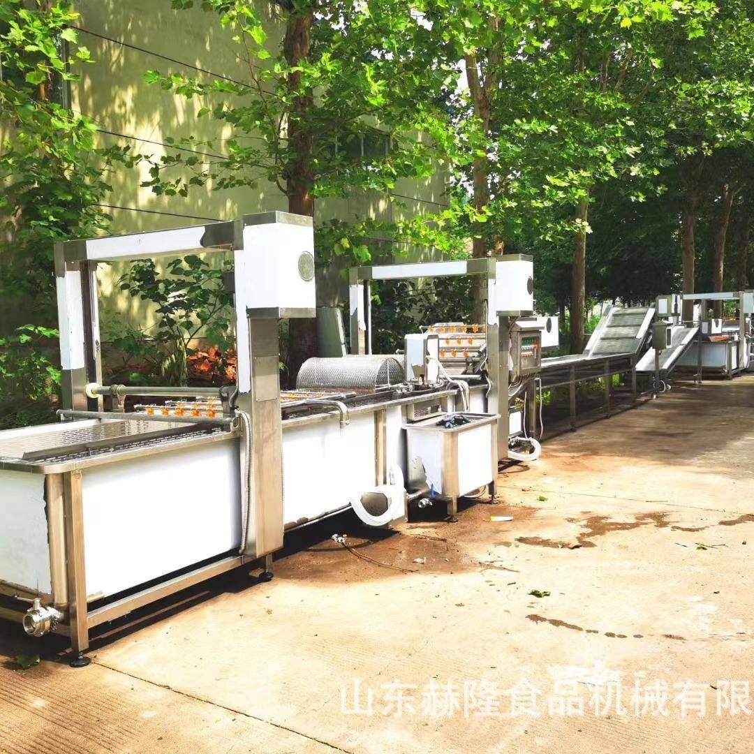 清洗去皮去核一体机商用大型果蔬去皮去核机器苹果梨子去皮机