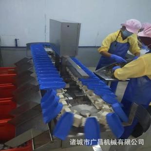 生蚝海参重量分选机全自动重量分选机多级动态分级