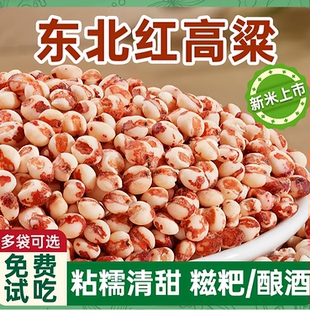 禾禾岁穗东北红粘高粱米新米五谷杂粮农家自产糯米饭粗粮低脂代餐