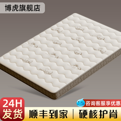 天然棕榈椰棕床垫可定制榻榻米床垫家用乳胶软垫可折叠护腰硬垫子
