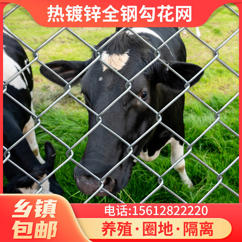 热镀锌铁丝钢丝网勾花菱形网养殖果园网荷兰鸡鸭羊猪牛护网围栏