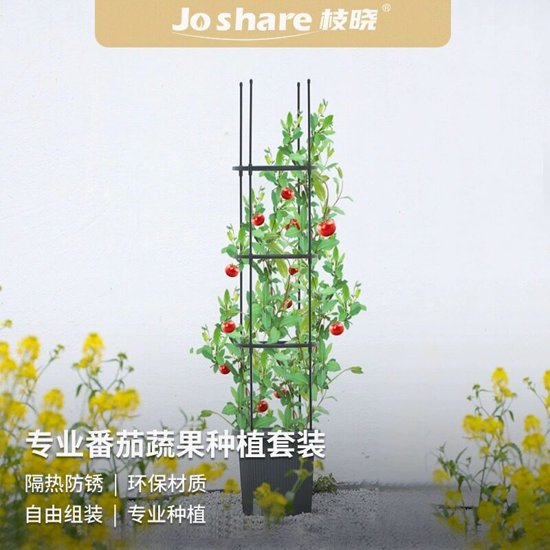 番茄架爬藤架蔬菜架杆种菜支撑盆栽庭院固定西红柿黄瓜种菜支架