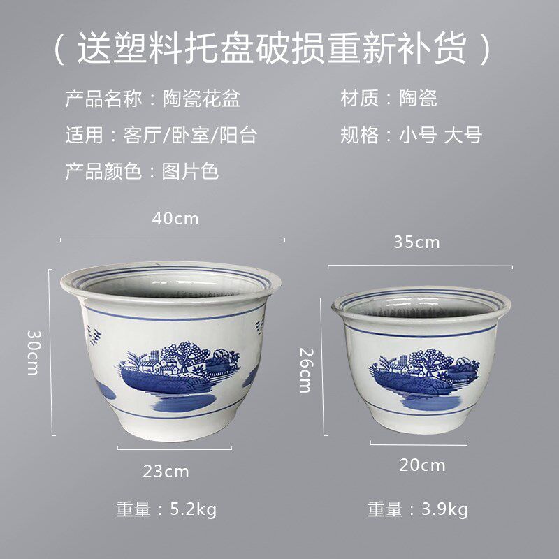 特号青花瓷发财树幸福树龙须木散尾葵绿萝栽树植物通用花盆