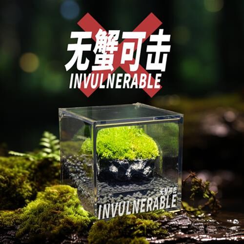 丘辰青苔藓微景观生态瓶室内绿植种植小盆栽景观螃蟹缸