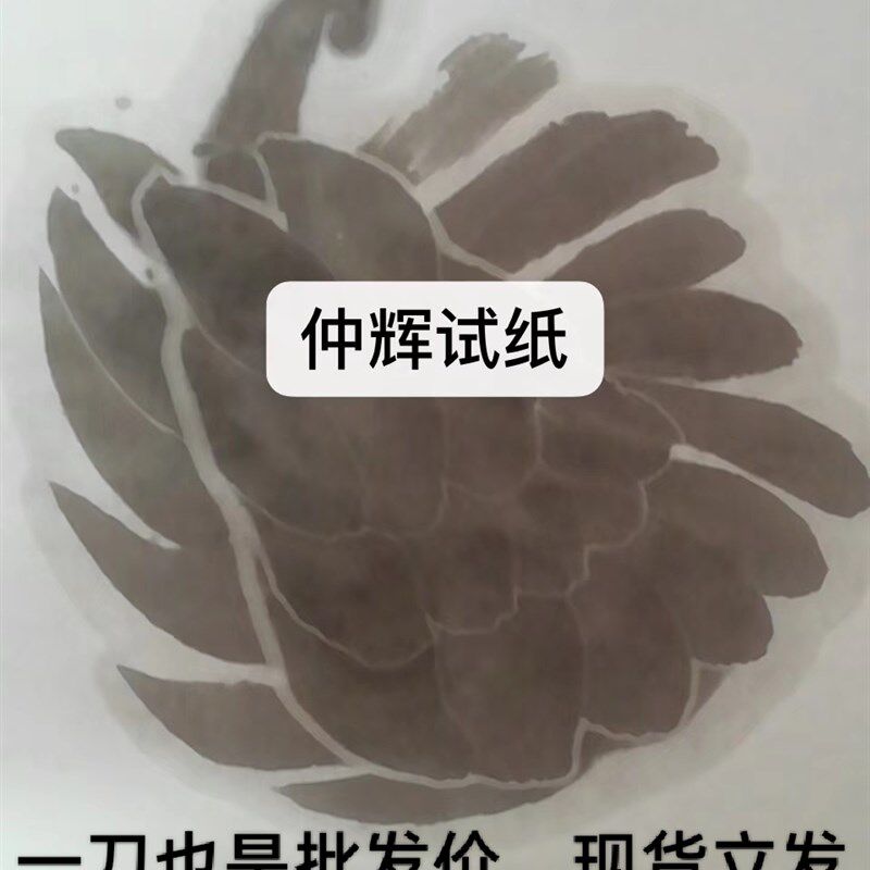 仲辉檀宣加厚半手工特净艺考书法花鸟鱼虾墨痕四尺六尺生宣