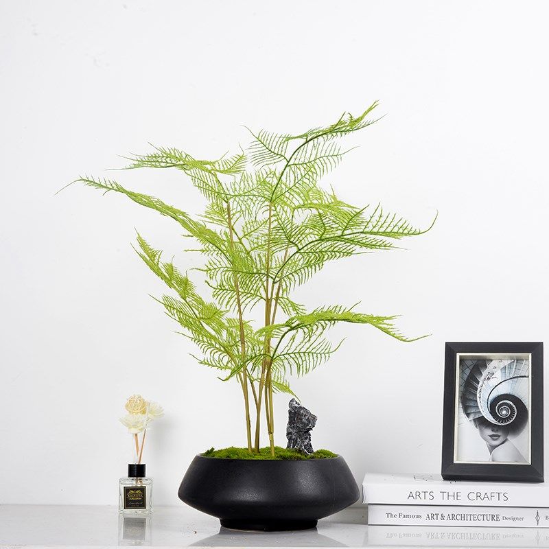新中式样板间花艺摆设仿真绿植盆景意境植物茶室文竹盆栽