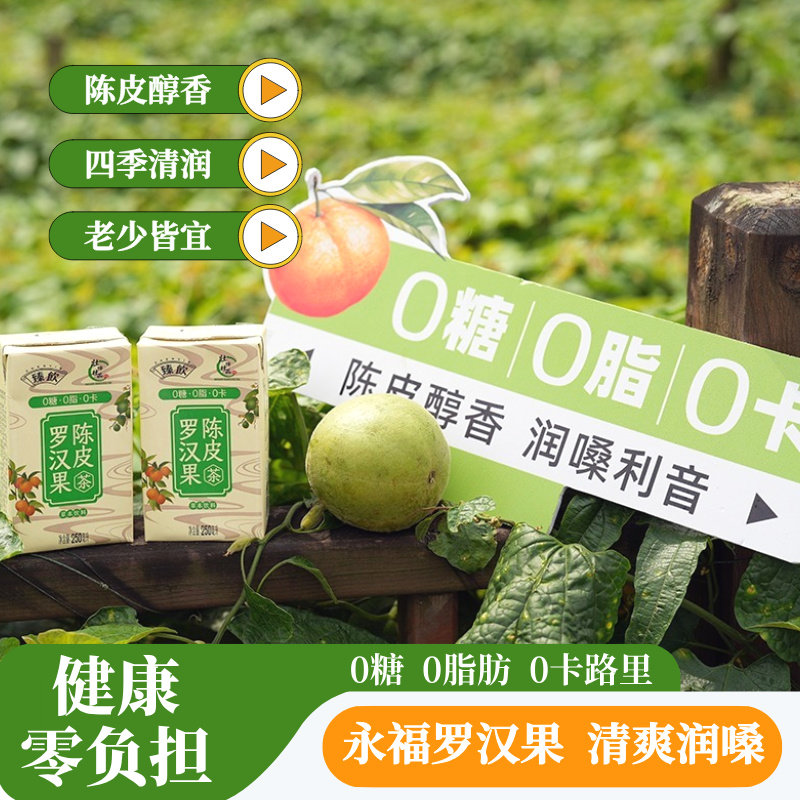 罗汉果陈皮茶0脂0糖0卡夏日清凉饮料解渴清润健康饮品罗汉果茶图片