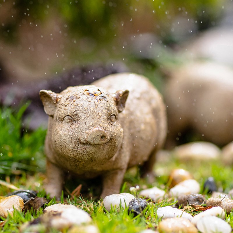 花园装饰摆件户外庭院造景园艺小动物艺术创意个性民宿景观田园风