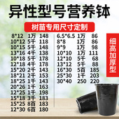 异性营养钵加厚加高塑料育苗营养袋营养杯种植育苗盘一次性花盆