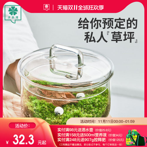 苔藓植物生态瓶趣味微缩景观室内创意手提款DIY绿植摆件懒人好养