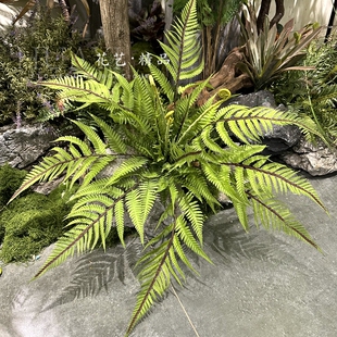 好品质软胶手感大凤尾蕨波士顿草波斯草植物造景绿植壁挂墙面