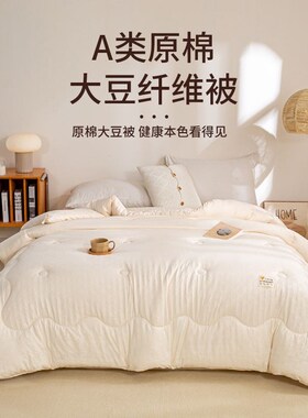 A类大豆纤e维被子冬被春秋被单人学生宿舍冬季加厚保暖被褥被芯