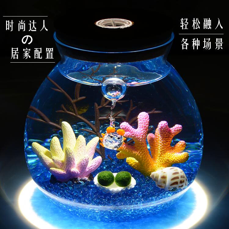 生日幸福海藻球微景观森林小屋培植物生态瓶室盆栽