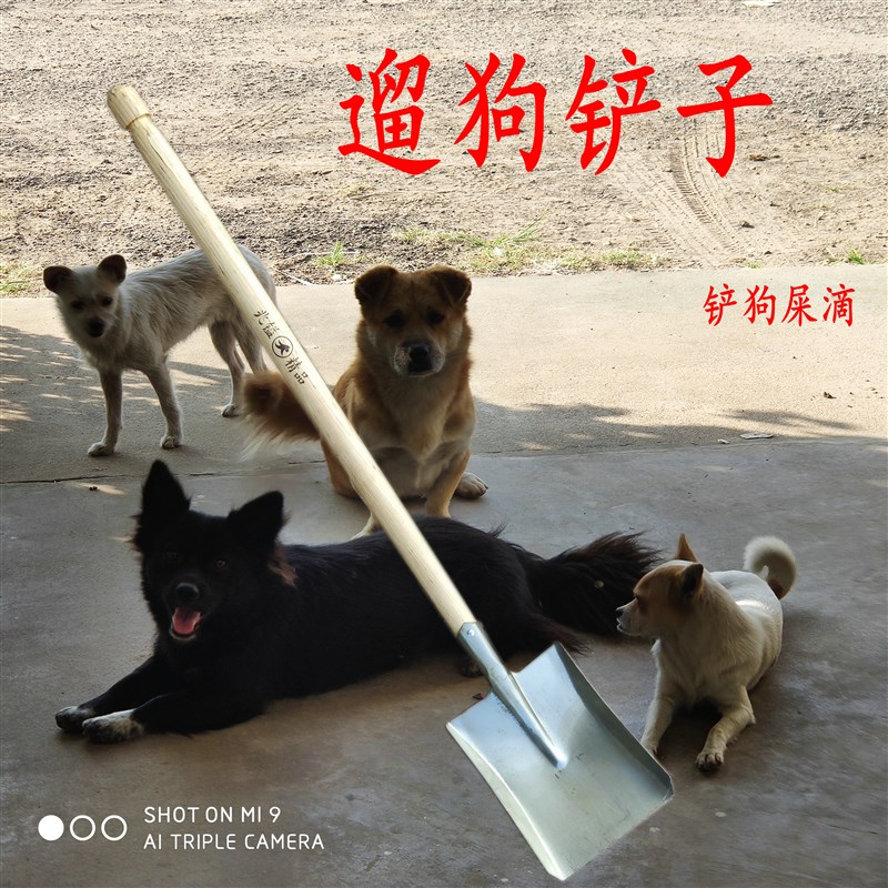 铲屎官遛狗铲子便便铲粪铲小铁锹锨小号家用挖土火铲煤炭清粪工具