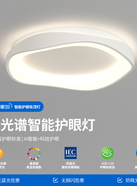 帕莎卧室吸顶灯网红款房间主灯现代简约奶油风书房吸顶灯