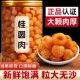2025新货高州特优9A级无核桂圆肉桂圆干龙眼元 肉气血泡水泡茶500g