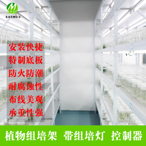 木木生物 植物光照培养架T5灯组培架子 层高可调育苗架实验室架子