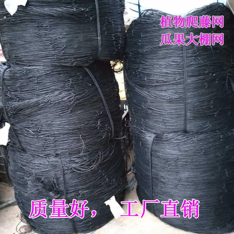 优先百香果专用植物网罗汉果苦瓜黄瓜丝瓜豆角沃柑园艺爬藤蔬菜攀