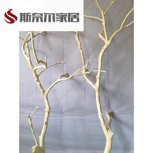 干树枝原木杈艺术干燥树枝枯枝枯木树干鸟架造型壁挂衣架悬吊式天