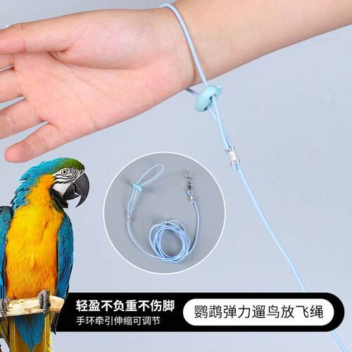 鹦鹉放飞绳超轻小鸟牵引绳脚环不伤脚虎皮牡丹玄凤专用遛鸟飞行绳