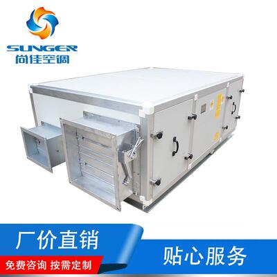 厂家直供空气净化柜式新风机组 新风净化制冷机组 空调工程