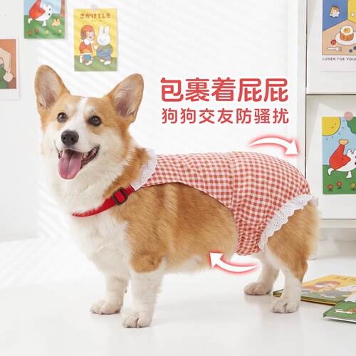 宠物狗母狗狗姨妈裤女狗柯基月经生理裤柴犬小狗外出防交配安全裤