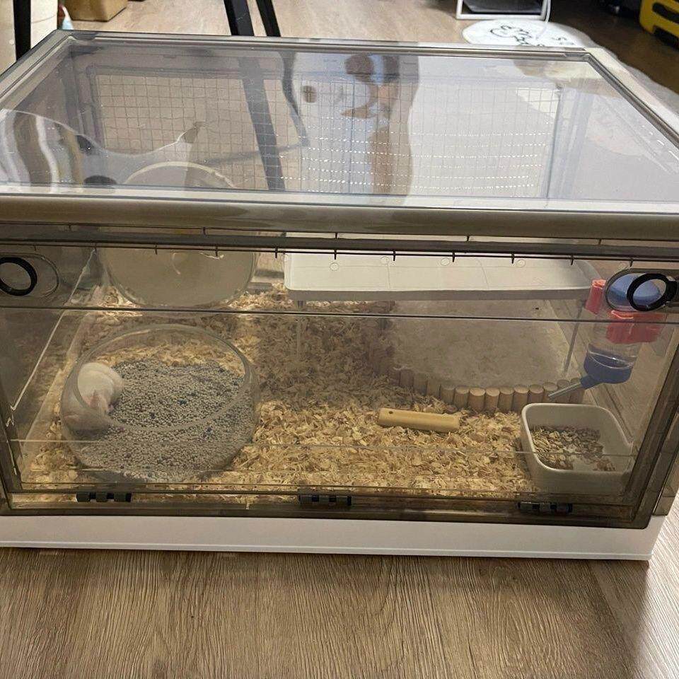透明透气蜜袋鼯笼子小宠饲养箱仓鼠透明笼子仓鼠超可折叠鼠鼠笼子