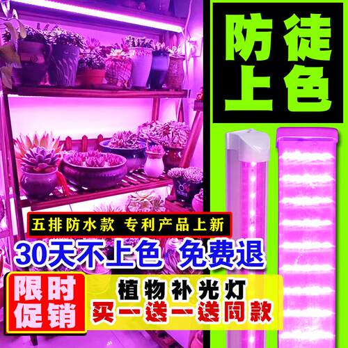 欧科多肉补光灯上色全光谱家用植物生长灯仿太阳光防徒虫花卉育苗